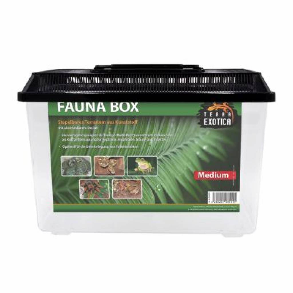 Fauna Box Verschiedene Größen